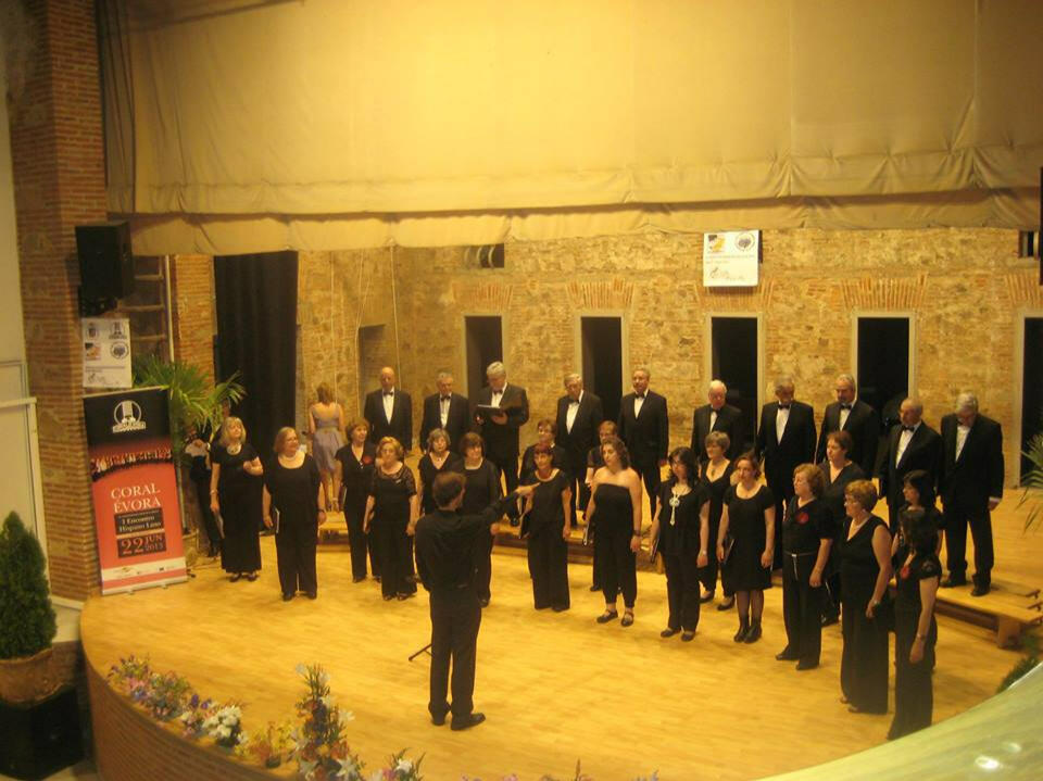 D. Benedito 2013